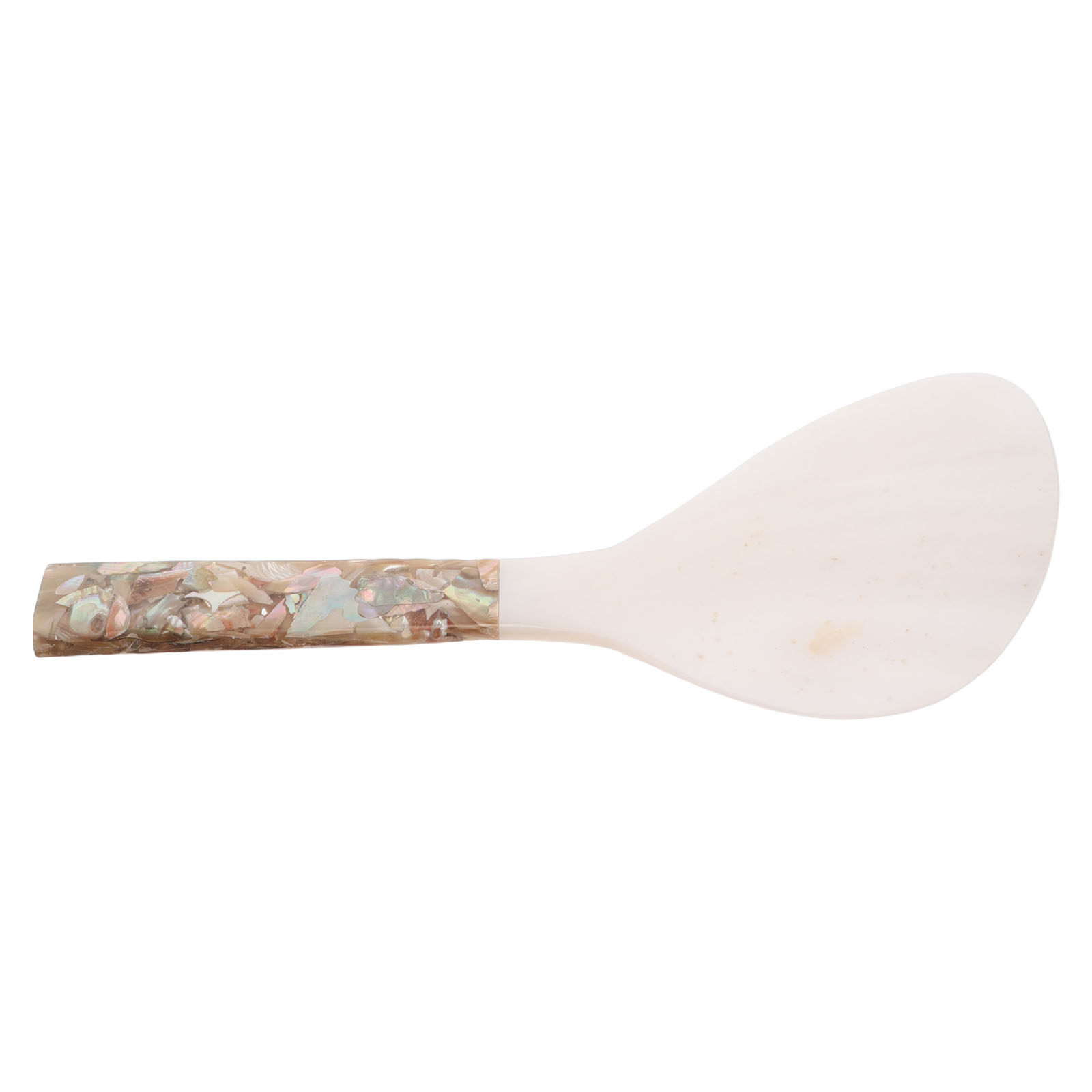 Meal Prep With Rice - Shell-Inspired Rice Paddle Non Stick Serving