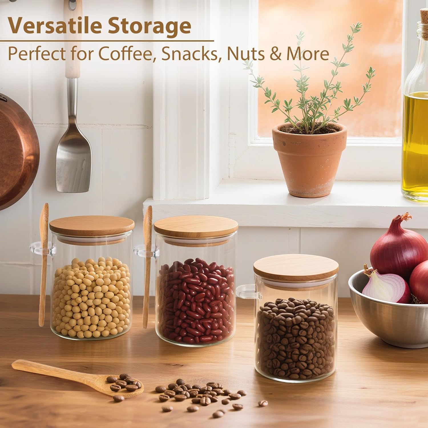 6 Pack Overnight Oats Containe - Meal Prep Glass のレビューと価格